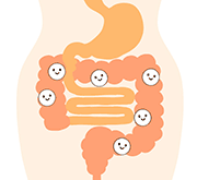 腸イメージ